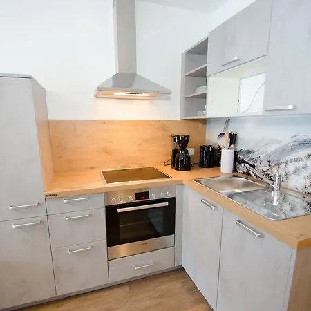Summer & Winter Fun By In One Appartement Zell am See