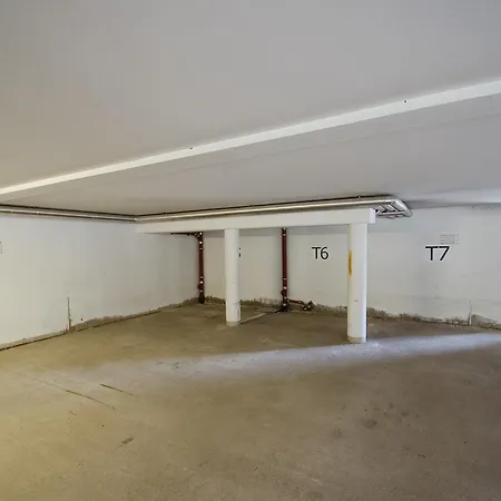 Summer & Winter Fun By In One